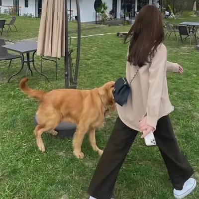 百万家财